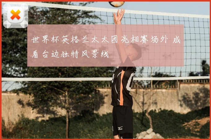 世界杯英格兰太太团亮相赛场外 成看台边独特风景线