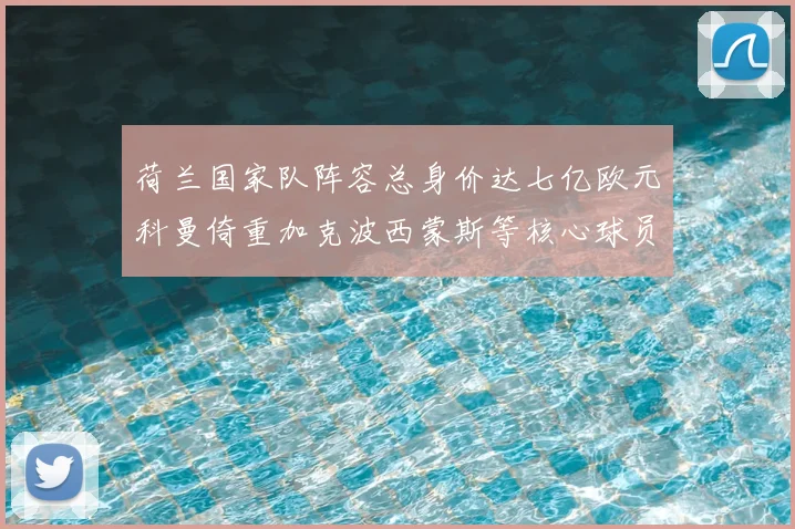 荷兰国家队阵容总身价达七亿欧元科曼倚重加克波西蒙斯等核心球员
