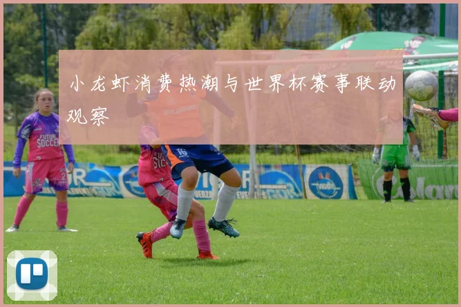 小龙虾消费热潮与世界杯赛事联动观察