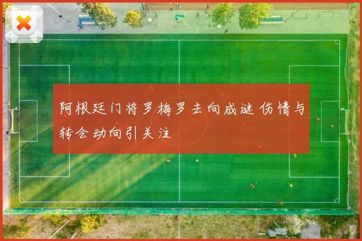 阿根廷门将罗梅罗去向成谜 伤情与转会动向引关注