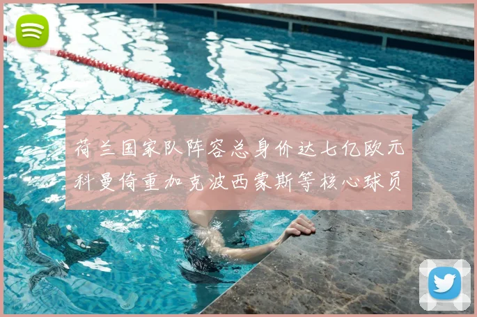 荷兰国家队阵容总身价达七亿欧元科曼倚重加克波西蒙斯等核心球员