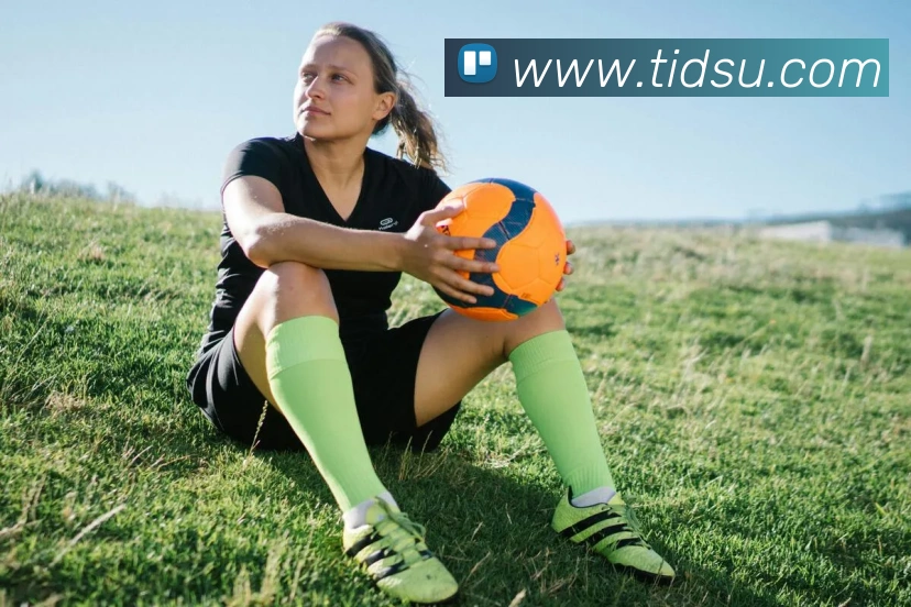 开云手机在线官网登录发展历程